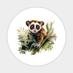 Slow Loris Magnet